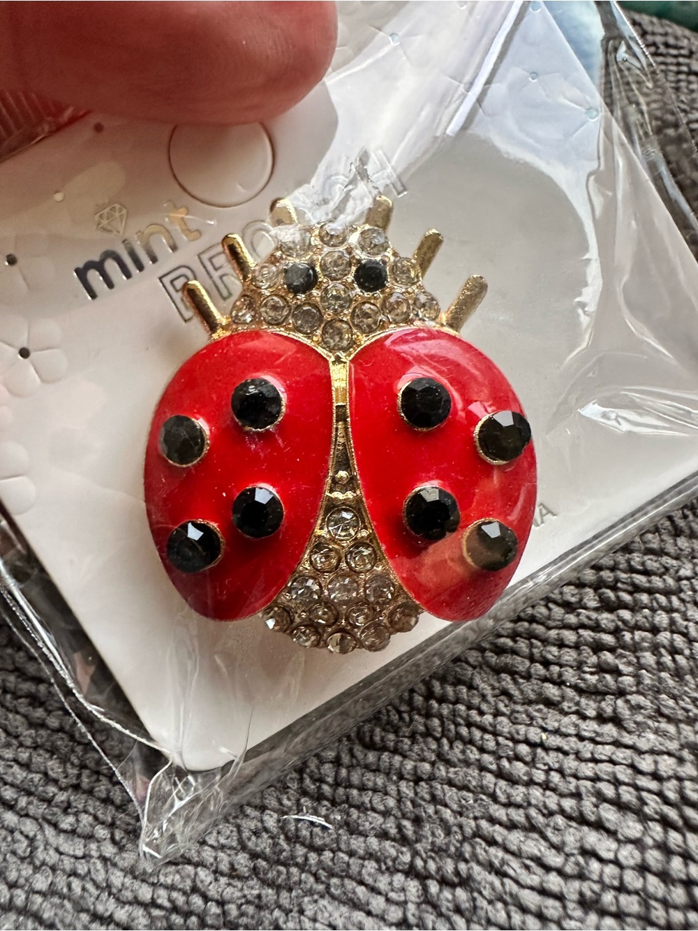 Mint Red and Black Ladybug Brooch with Clear Crystal Body